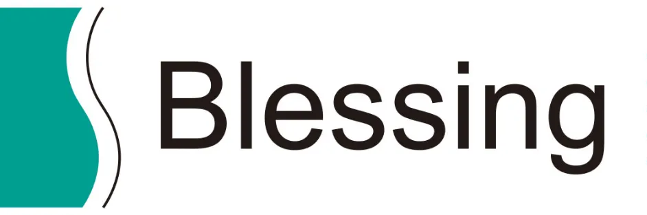 株式会社Blessing